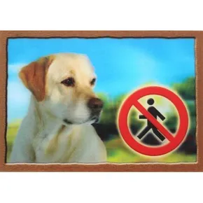 3D-Erkennungsmarke, Golden Retriever